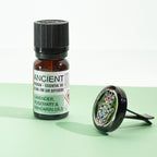 10ml Aromatherapy Car Blend - Traffic Jam