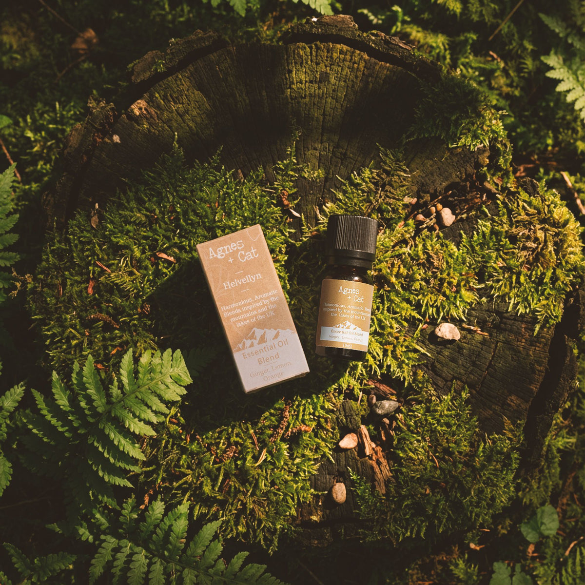 Agnes + Cat Essential Oil Blend - Scafell Pike - Cypress, Tangerine & Ho Wood